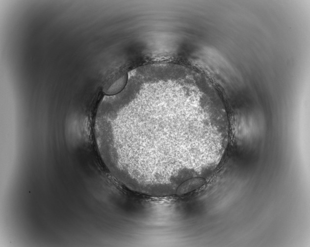 X0000095670667200802051231