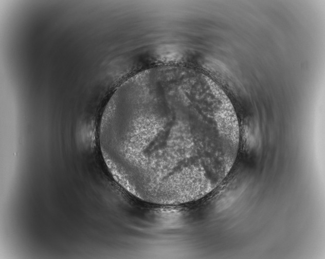 X0000095670668200802051231