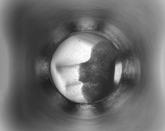 X0000095670669200802051231