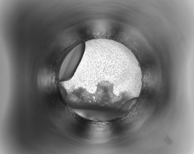 X0000095670671200802051232