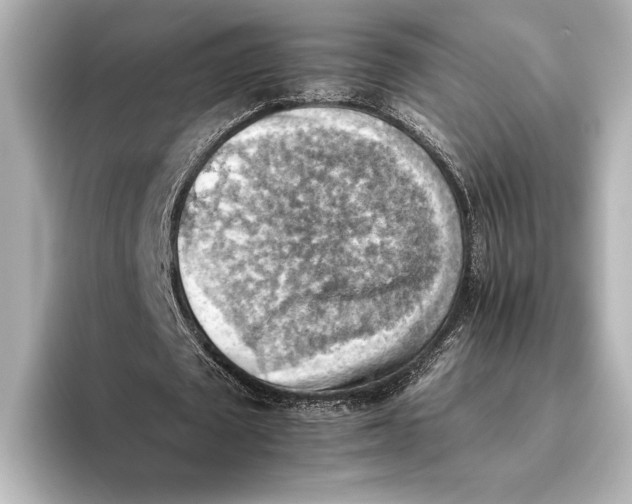 X0000095670673200802051231