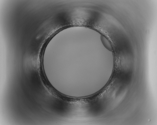 X0000095670674200802051231