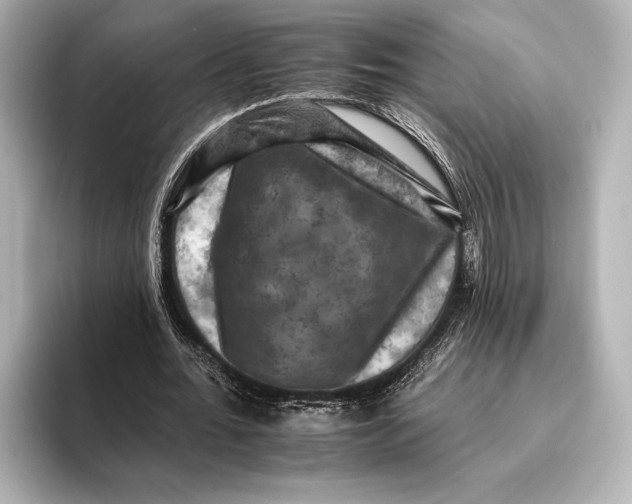 X0000095670676200802051231