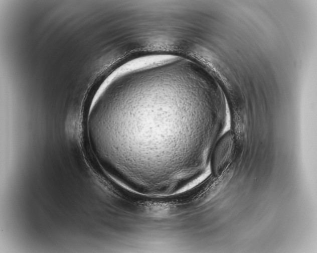 X0000095670677200802051231