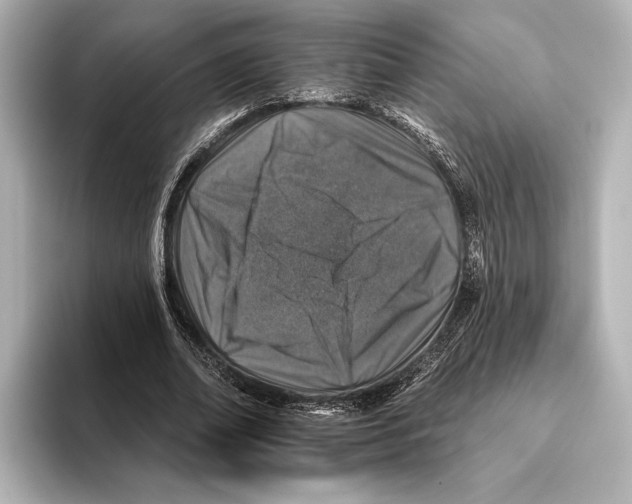 X0000095670678200802051231