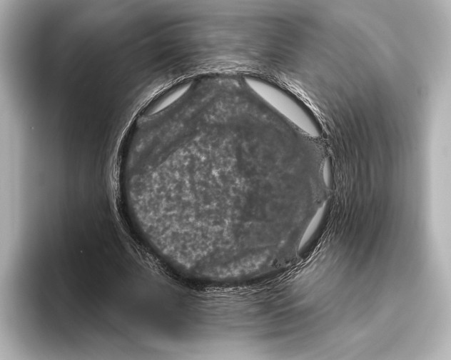 X0000095670679200802051231