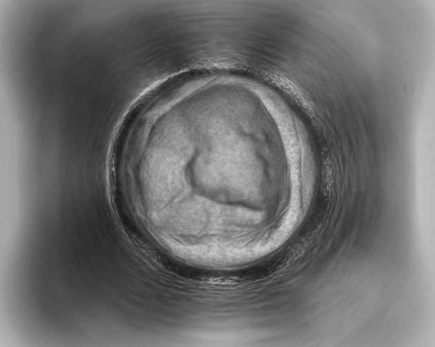 X0000095670680200802051231