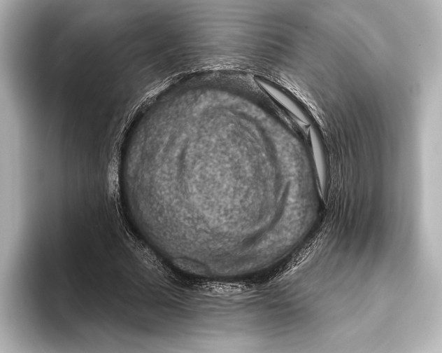 X0000095670681200802051231