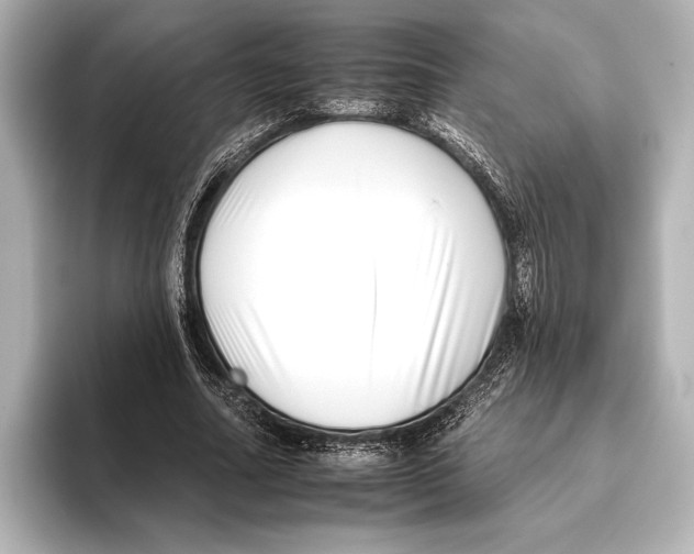 X0000095670682200802051231