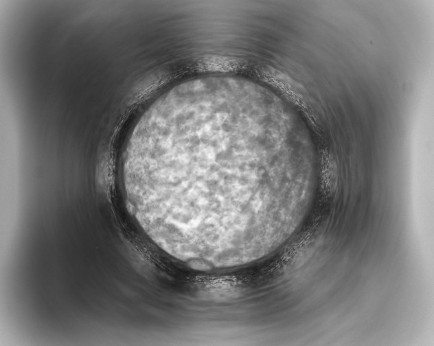 X0000095670683200802051231