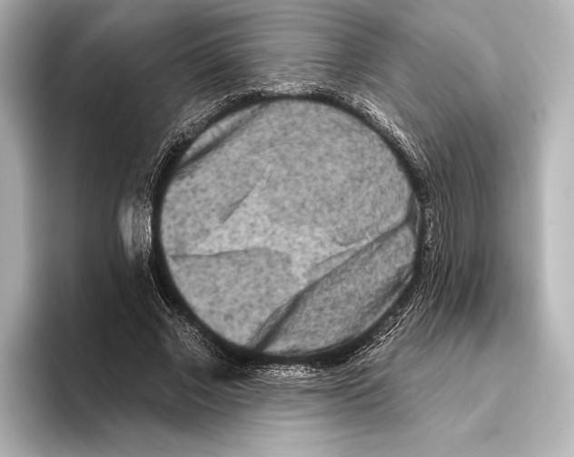 X0000095670685200802051231