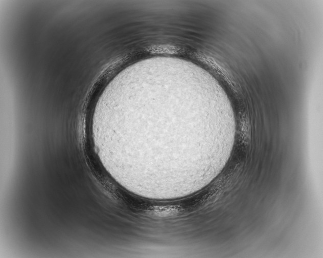 X0000095670686200802051231