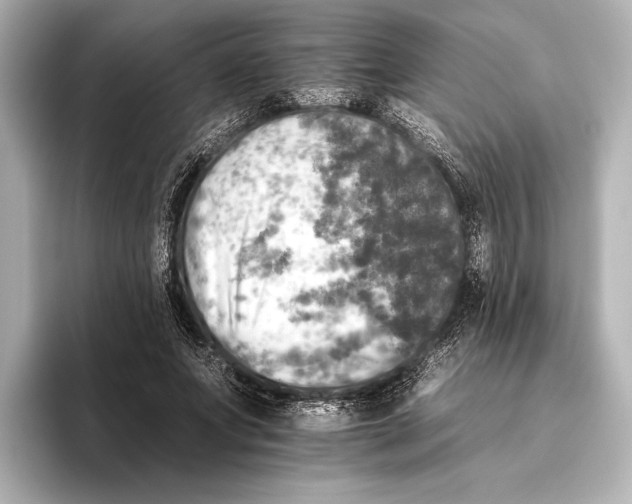 X0000095670687200802051231