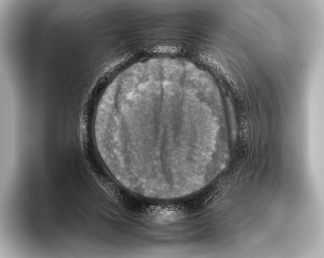 X0000095670688200802051231