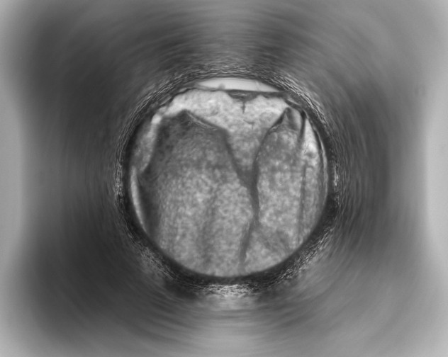 X0000095670689200802051231