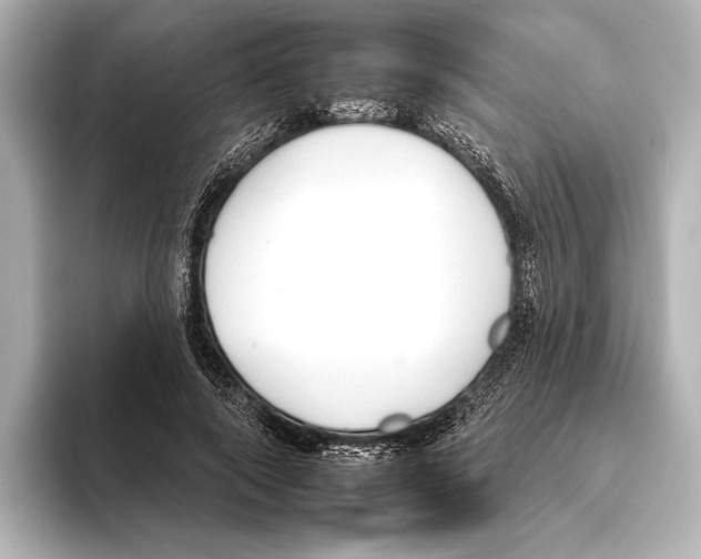 X0000095670690200802051231