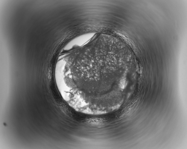 X0000095670691200802051231