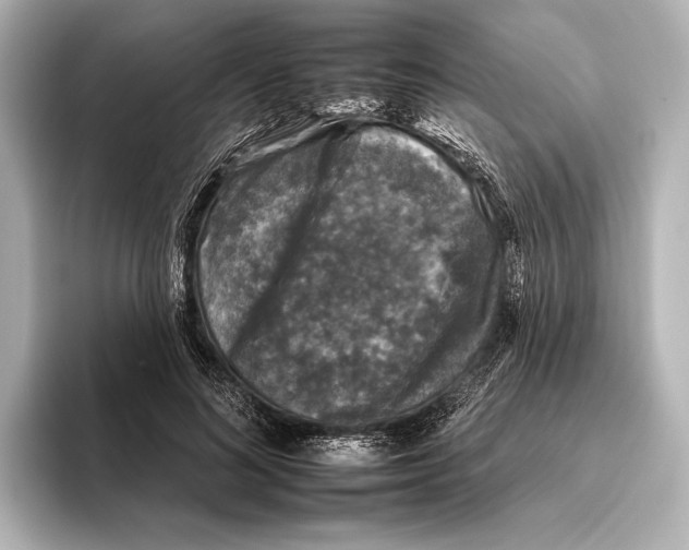 X0000095670692200802051231