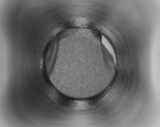 X0000095670693200802051231