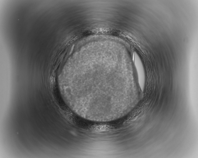 X0000095670695200802051231