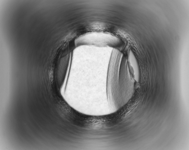 X0000095670697200802051231