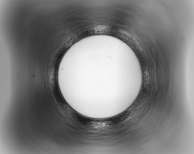 X0000095670698200802051231