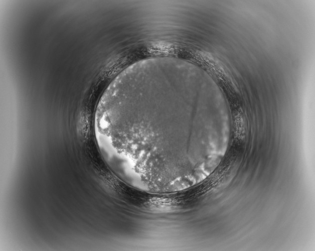 X0000095670699200802051231