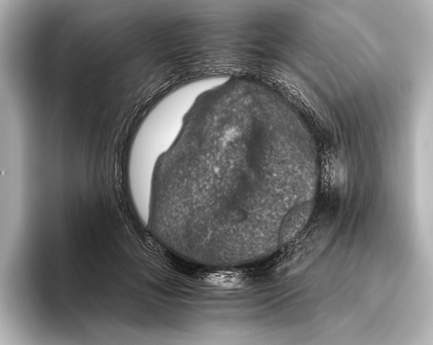 X0000095670700200802051231