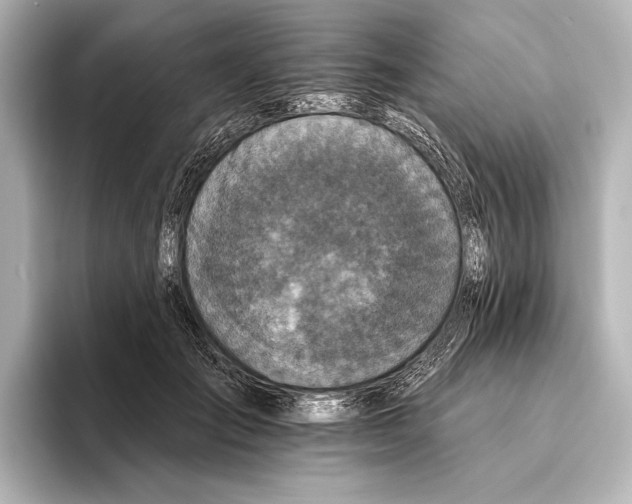 X0000095670701200802051230