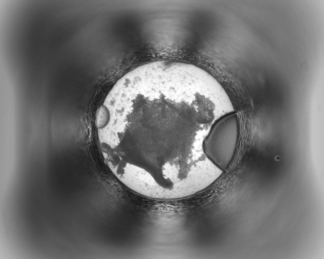 X0000095670703200802051230