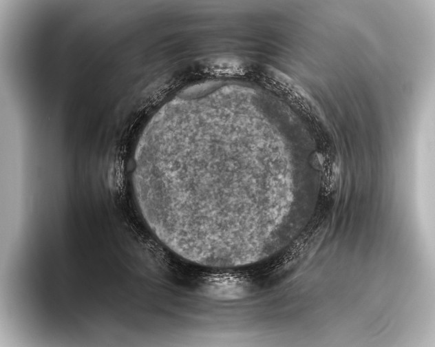 X0000095670704200802051230