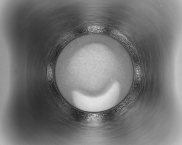 X0000095670705200802051230