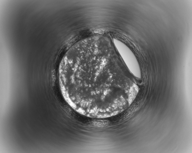 X0000095670707200802051230