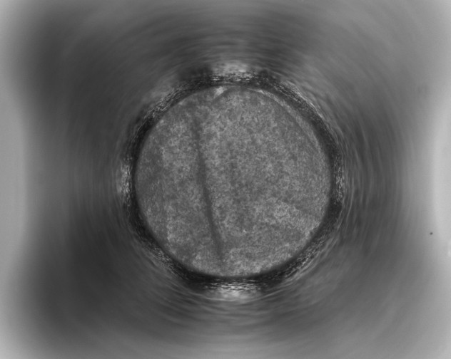 X0000095670708200802051230