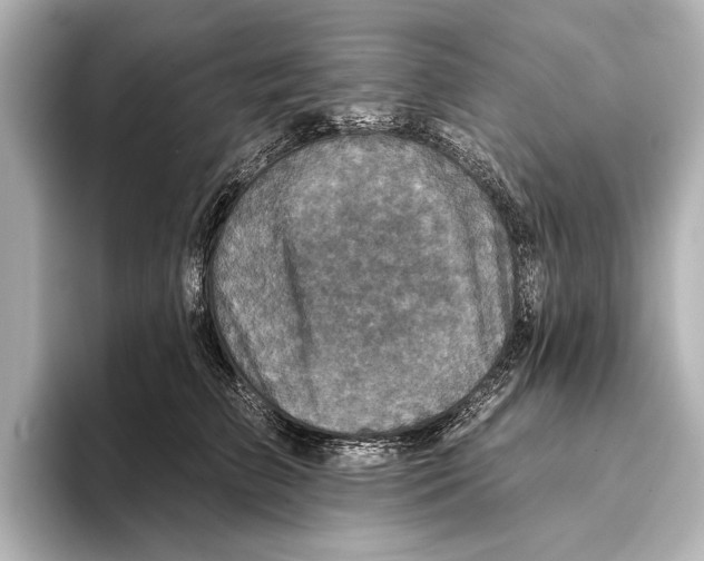 X0000095670709200802051230