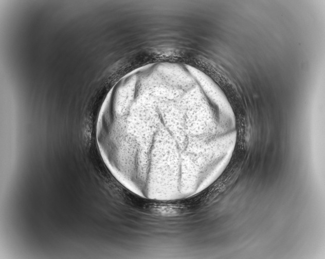 X0000095670710200802051230