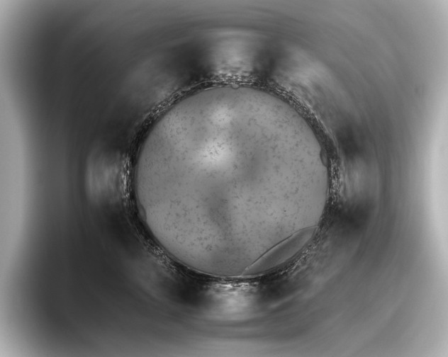 X0000095670712200802051230