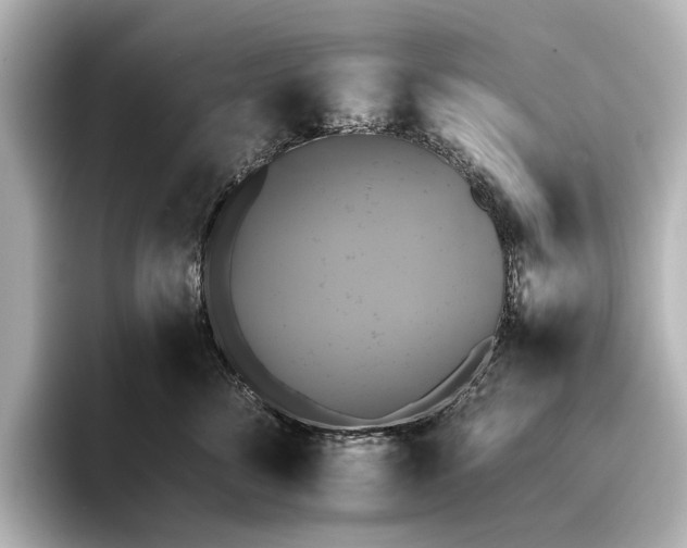 X0000095670716200802051230