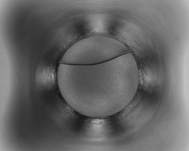 X0000095670718200802051230