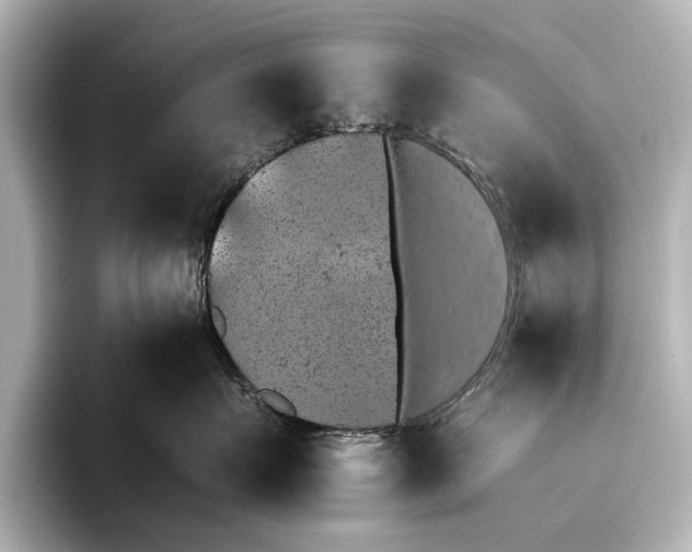 X0000095670719200802051230