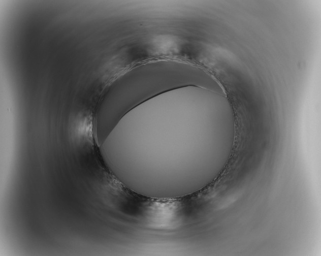 X0000095670720200802051230