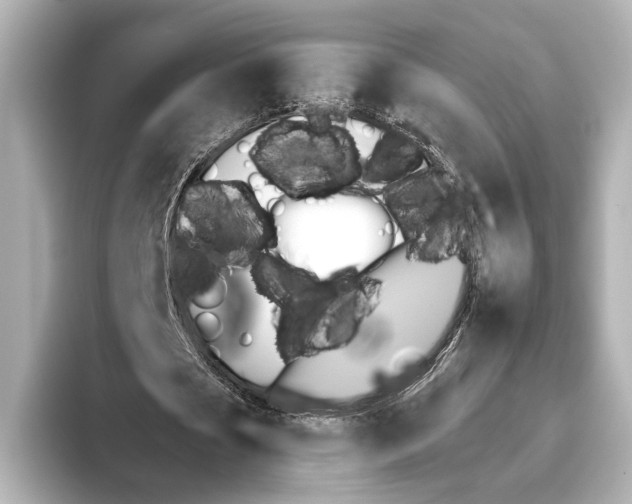 X0000095670721200802051229