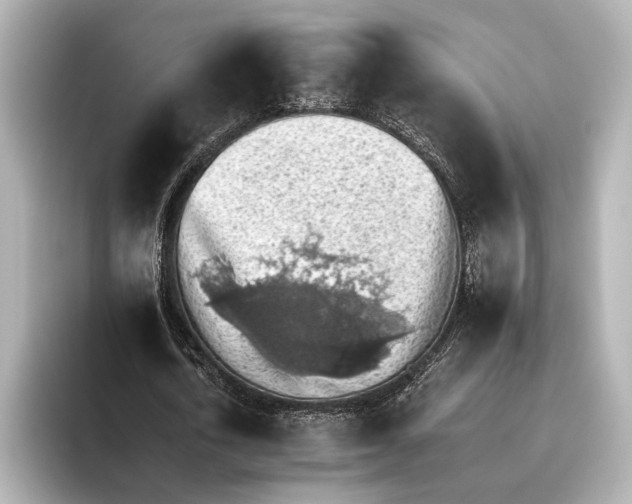 X0000095670722200802051229