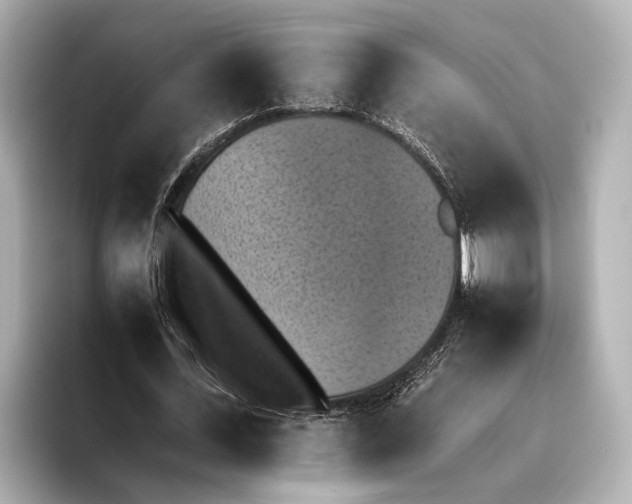 X0000095670723200802051229