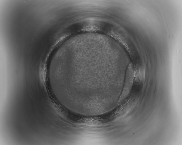 X0000095670724200802051229