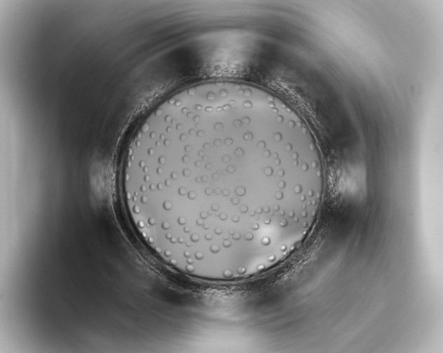 X0000095670725200802051229