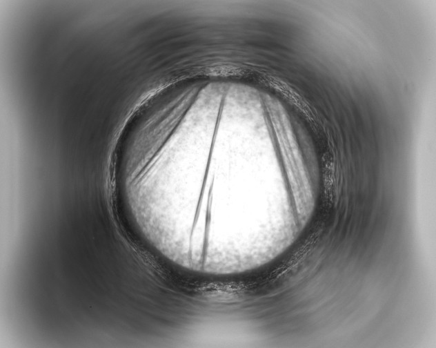 X0000095670727200802051229