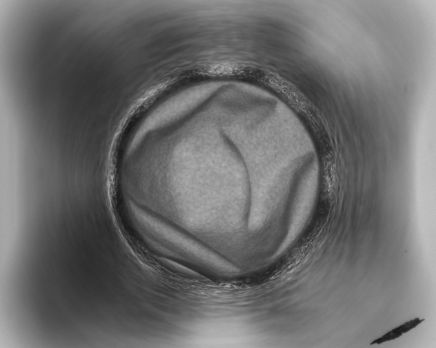 X0000095670728200802051230