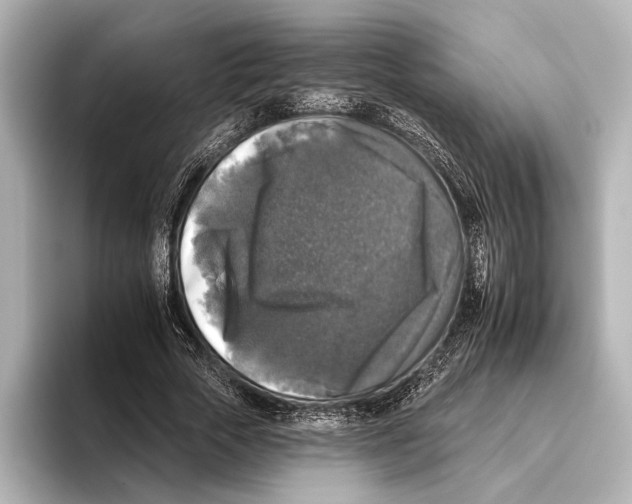 X0000095670729200802051230