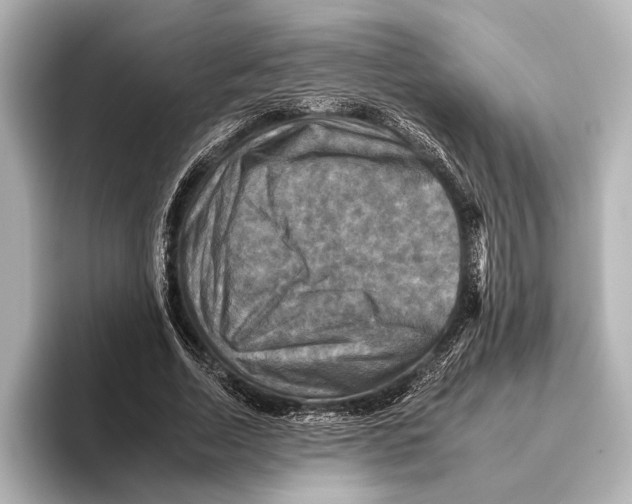 X0000095670730200802051230